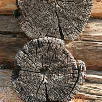 Огнезащитные средства для древесины