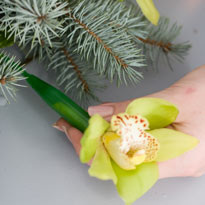 Новогодний настольный венок с орхидеями и еловыми ветками. Шаг 4