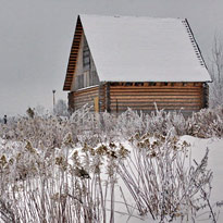 Особенности зимнего домостроения из бревна 