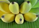 Банан: как вырастить в средней полосе
