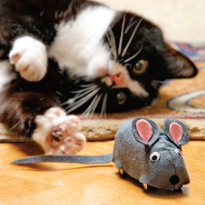 кошка, мышка, игрушка для кошки, кот. Шаг 6